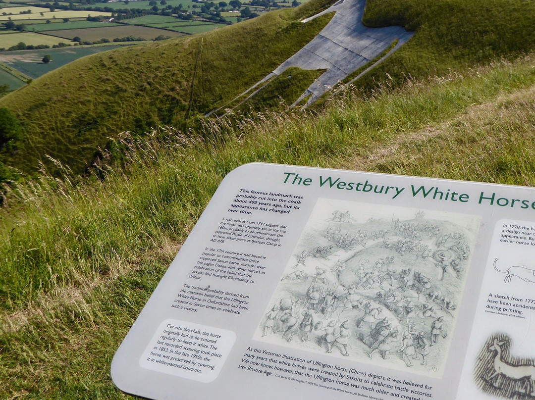 Westbury White Horse景点图片