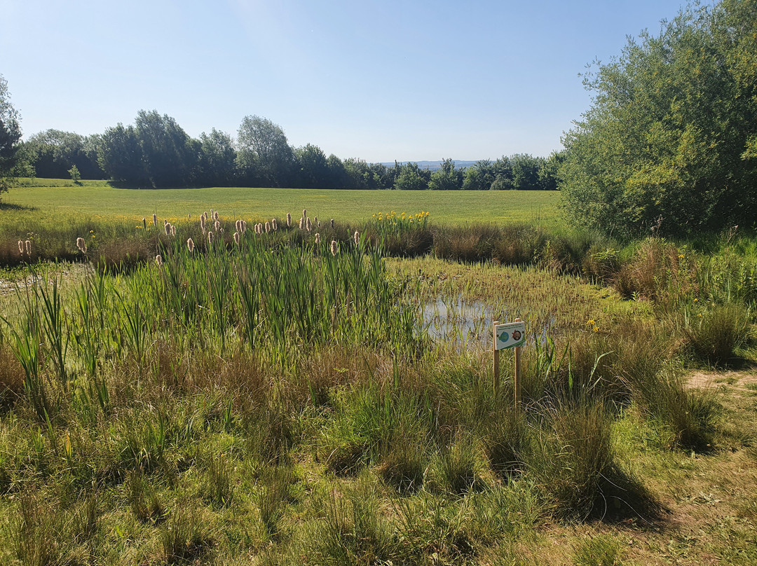 Ockbrook旅游景点-Dale Road Park