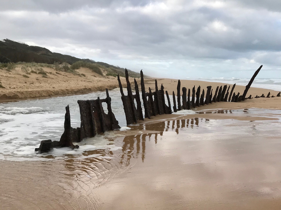 Trinculo Shipwreck-Golden Beach必去景点