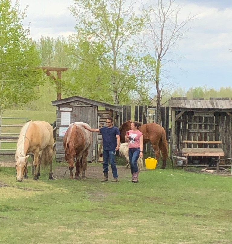Graham Town-劳埃德明斯特必去景点