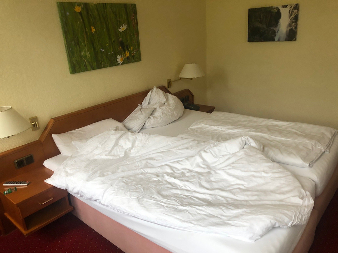 Solehotel Tannenhof主图