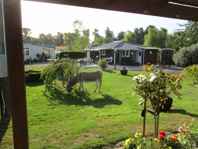 Cheviot Motels, Cabins & Camp - formerly the Cheviot Motel and Holiday Park-浴室