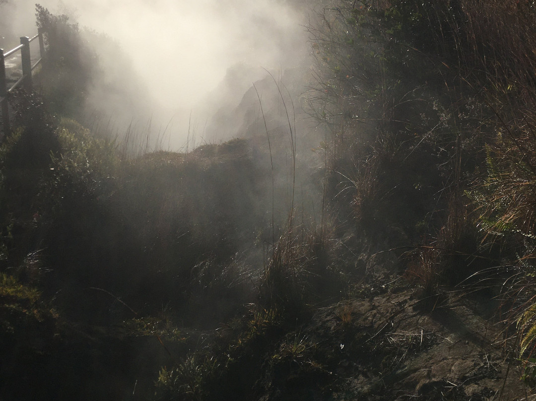 Sulphur Banks-夏威夷火山国家公园必去景点