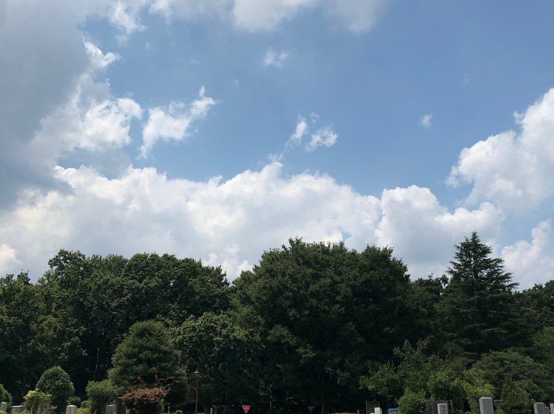 Kodaira Cemetery-东村山市必去景点