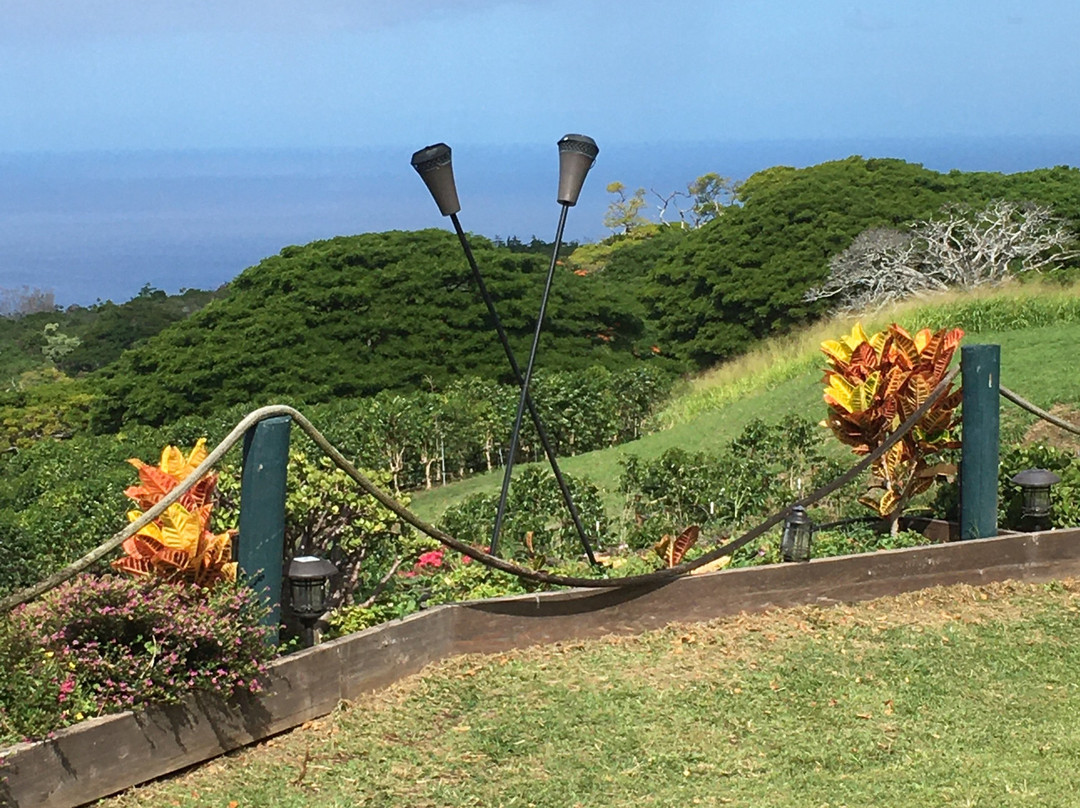 科纳杰咖啡-基亚拉凯库亚必去景点