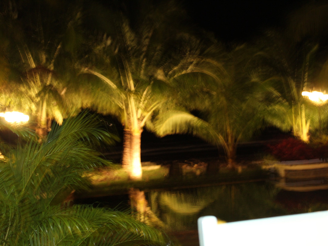 Villa Marina Lodge & Condos主图