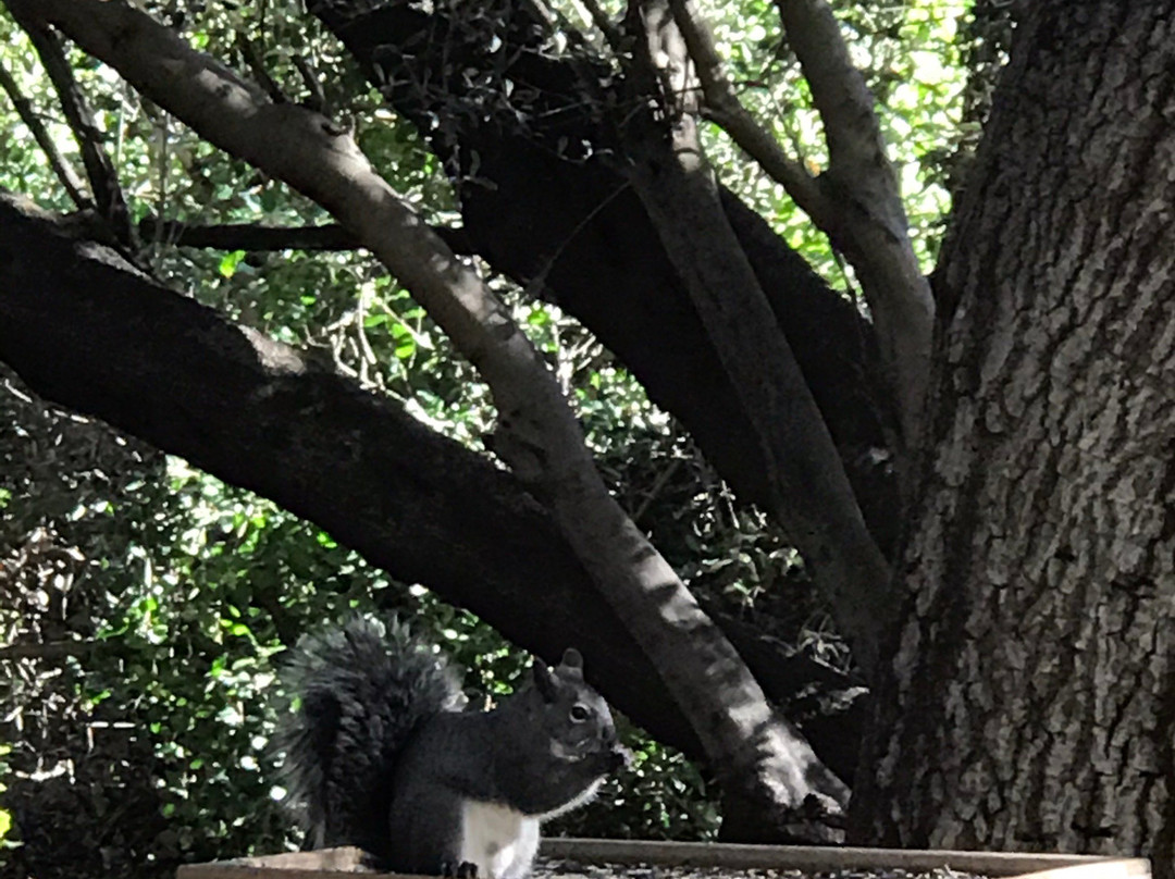 Enc Tucker Wildlife Sanctuary-Silverado必去景点