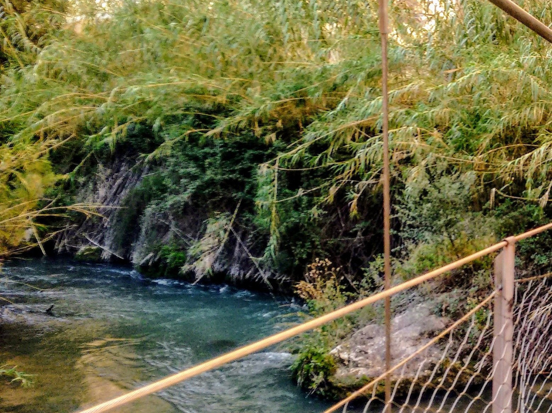 Puentes Colgantes景点图片