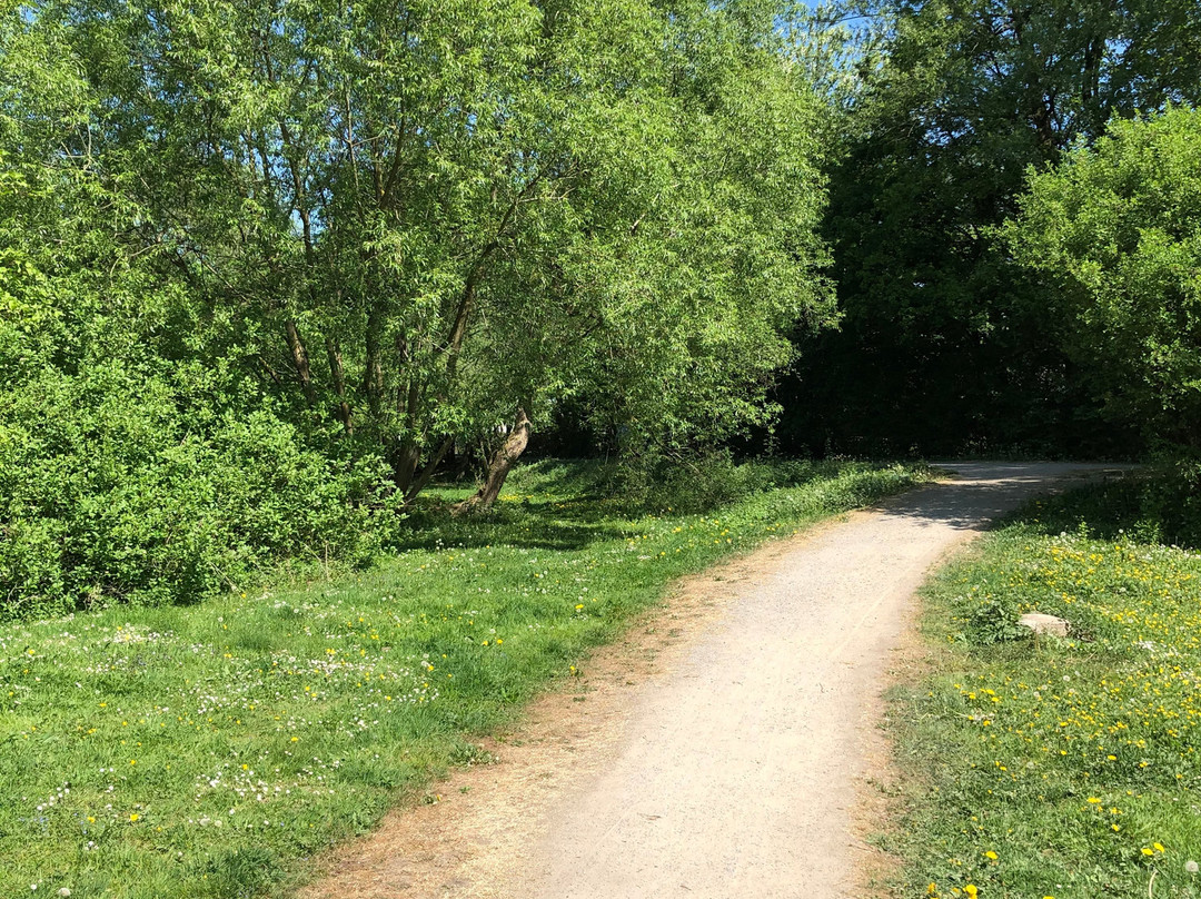 Obstweg Leichlingen景点图片