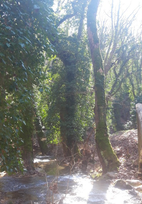 The Waterway Trail景点图片