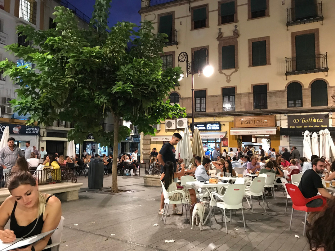 Seville Center-苏塞必去景点