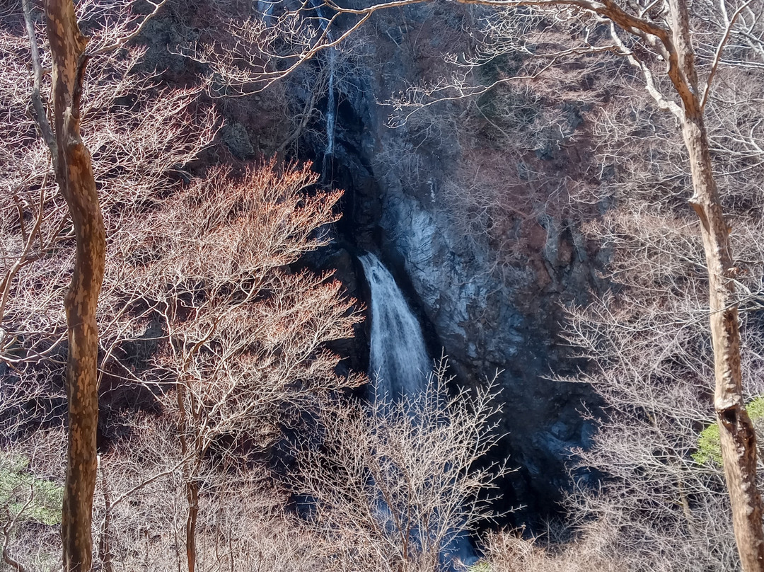 Konaka Falls景点图片