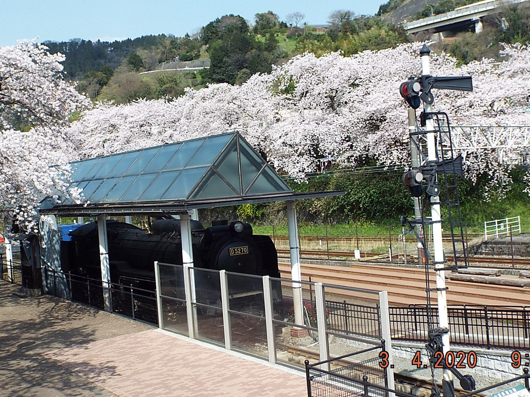 Yamakita Town Railway Park景点图片