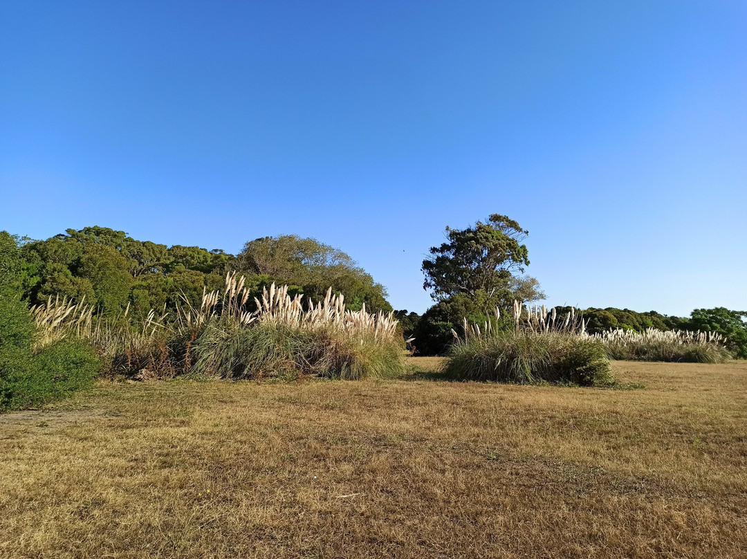 Termas Marinas景点图片