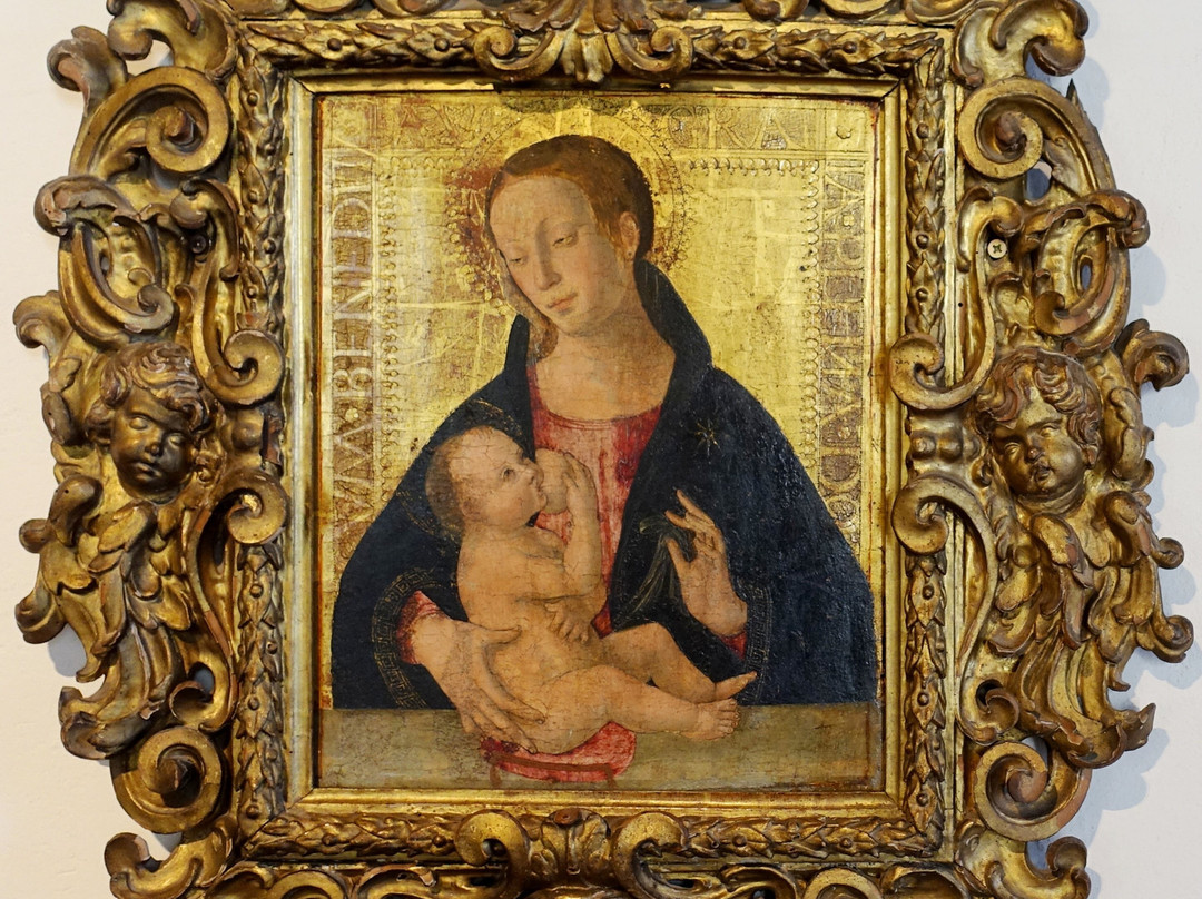 MAEC - Museo dell'Accademia Etrusca景点图片
