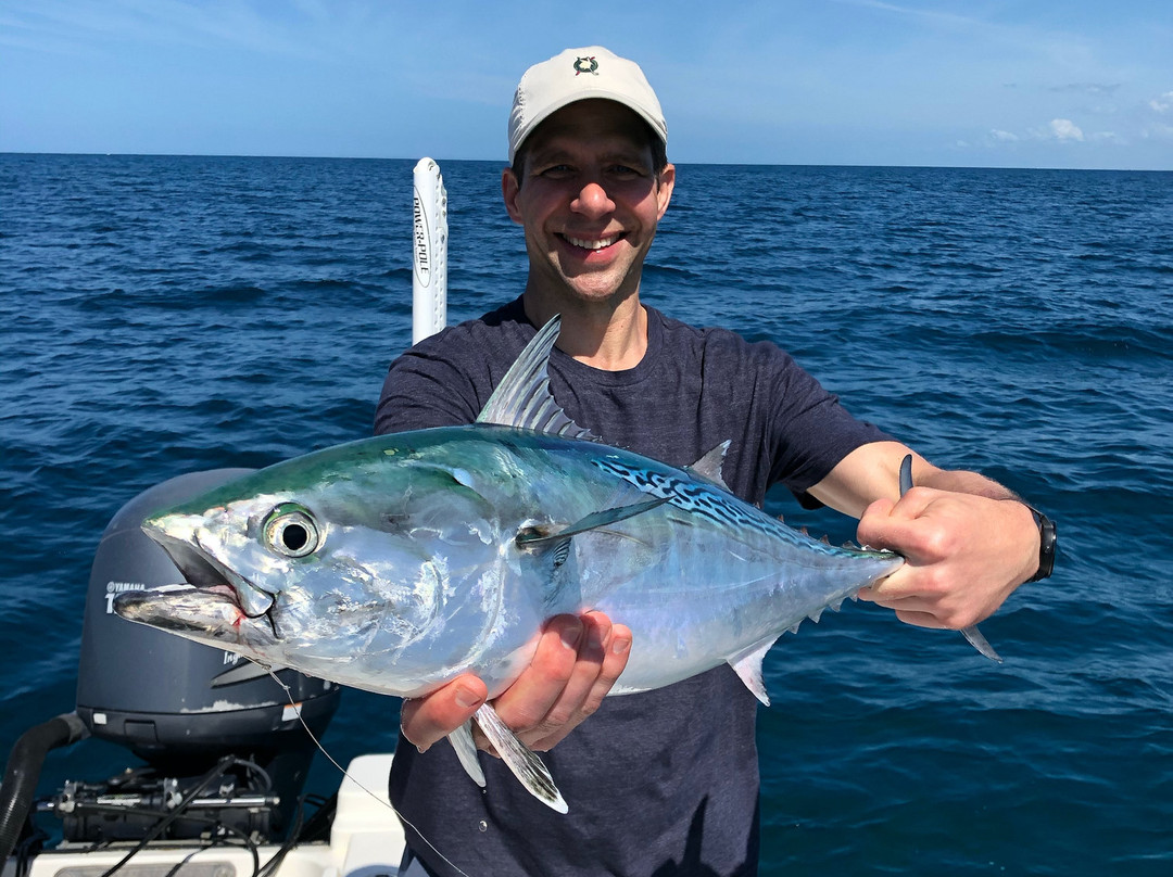 Palm Island Outfitters-Cape Haze必去景点