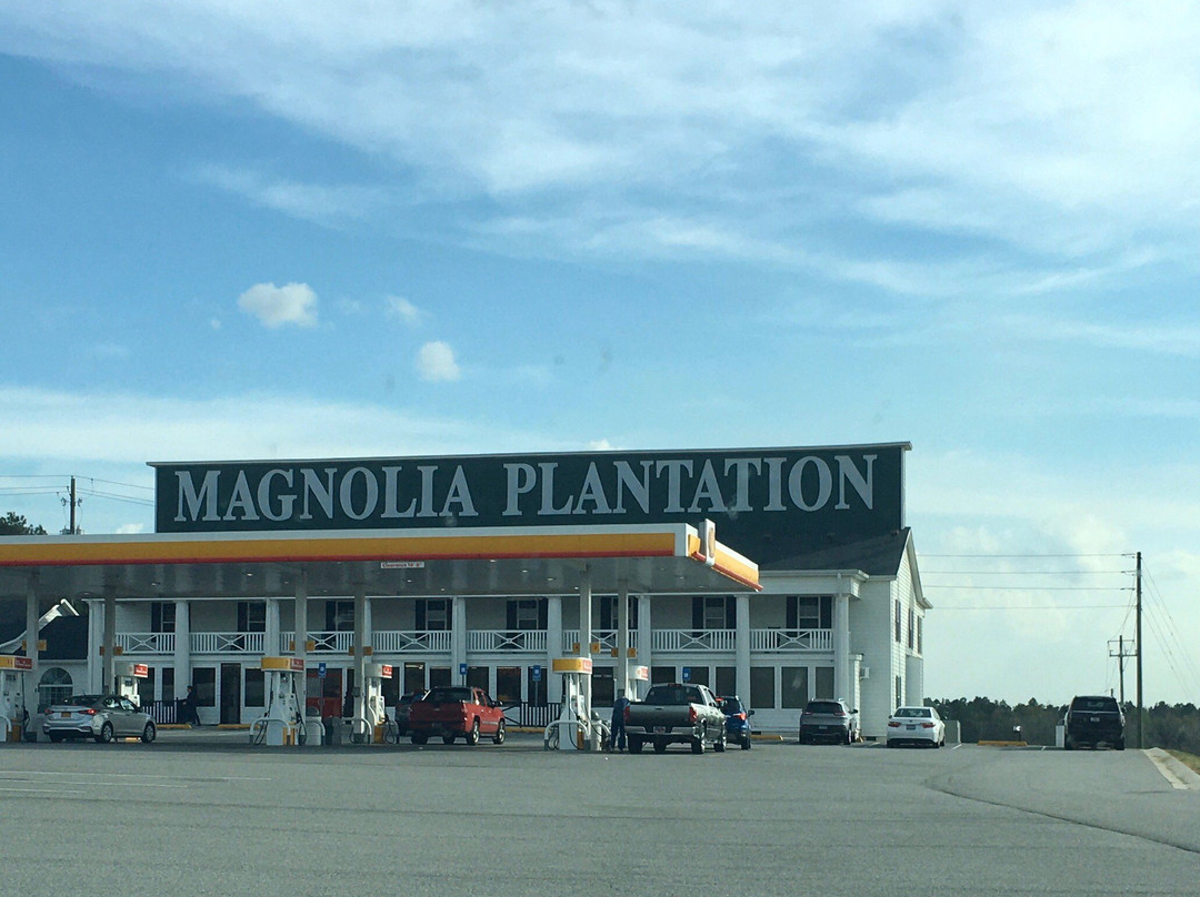 Magnolia Plantation景点图片