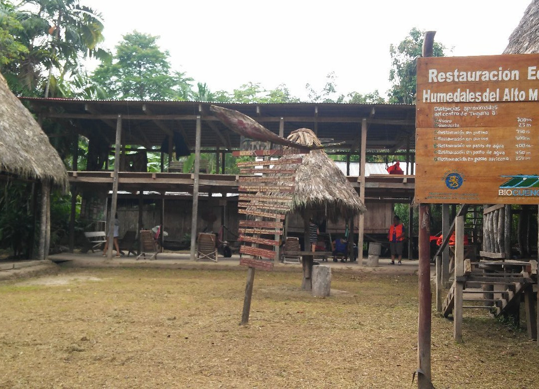 Tingana-Moyobamba必去景点