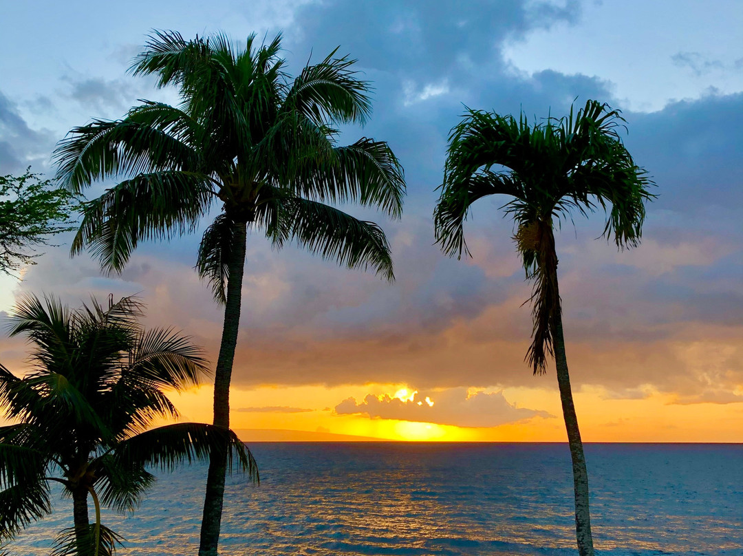 Napili Point Resort主图
