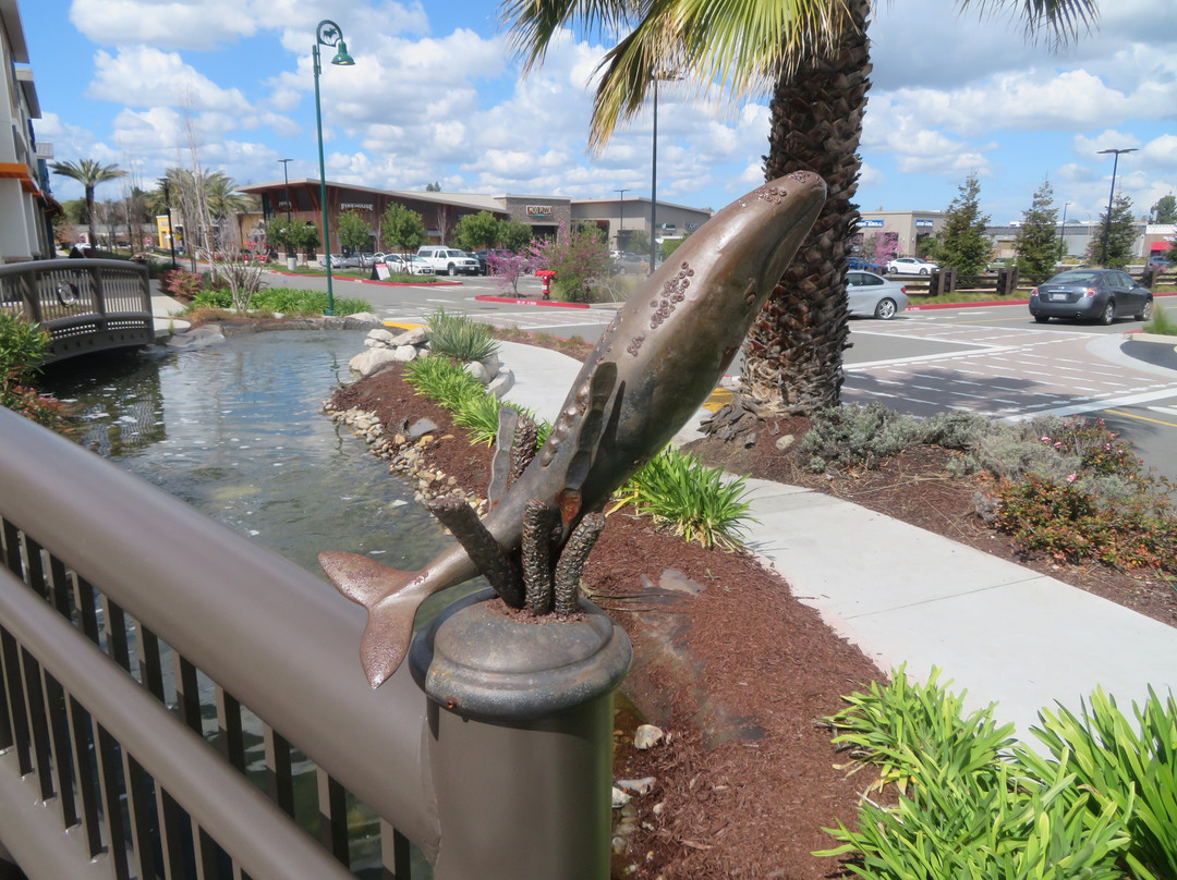 Bass Pro Shops-圣何塞必去景点