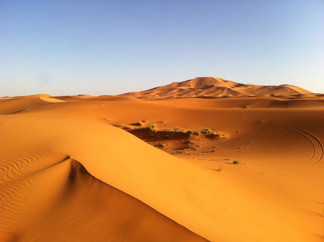 Explore Morocco Travel SARL景点图片