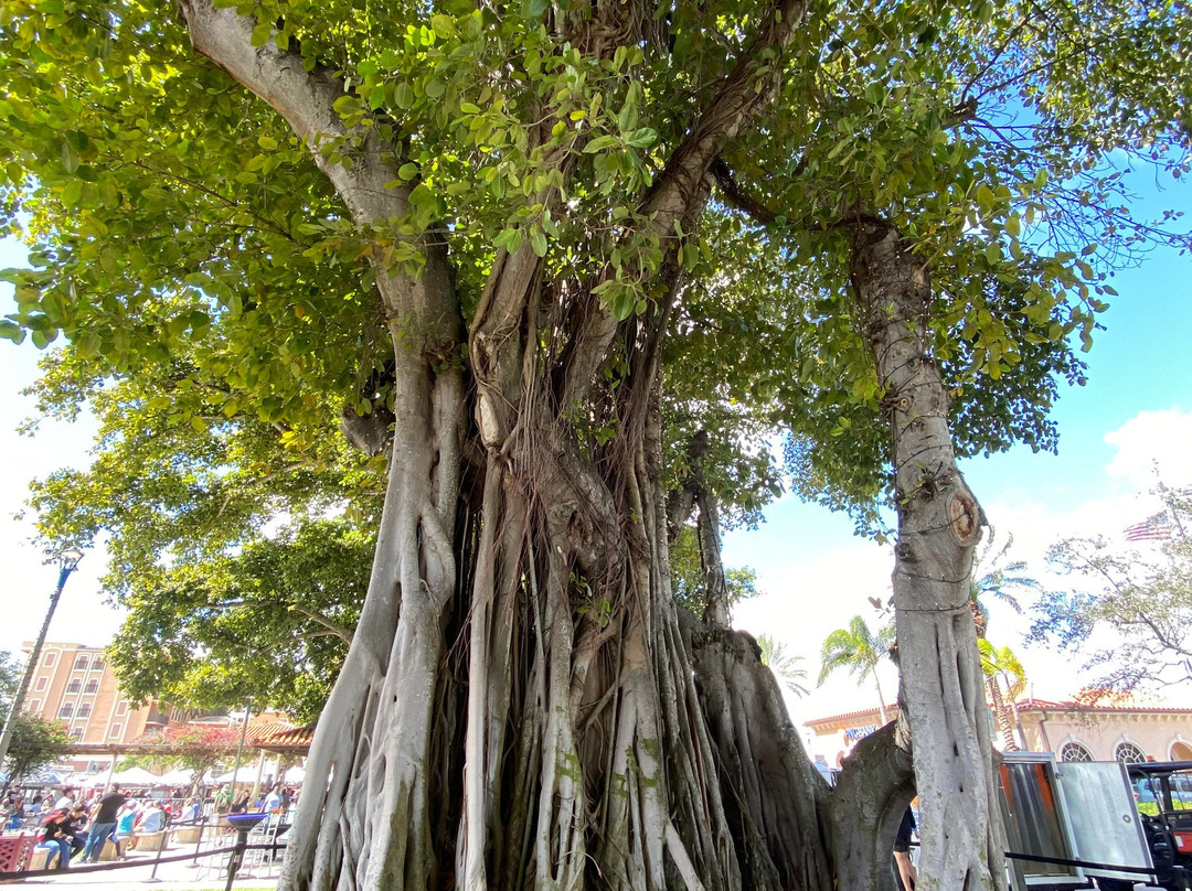 Downtown Lake Worth-莱克沃思必去景点