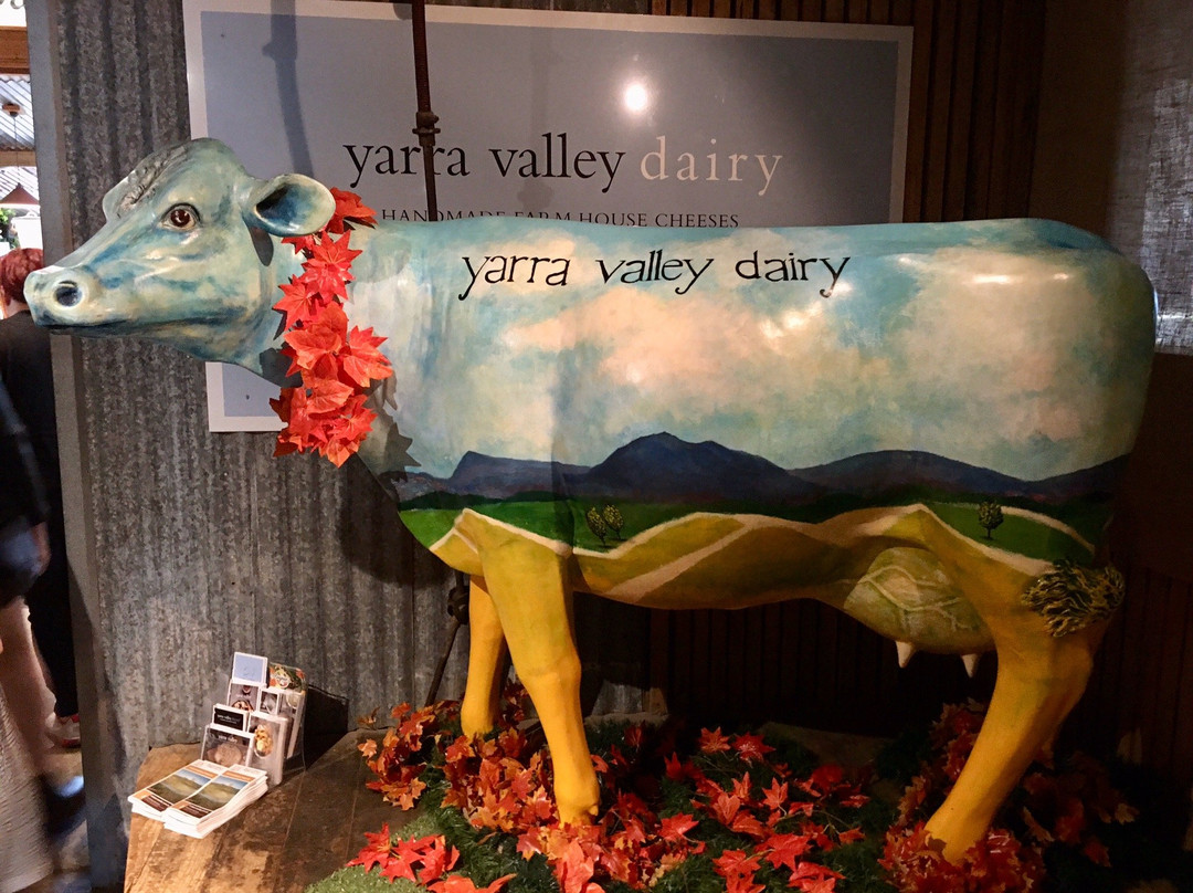 Yarra Valley Dairy-优伶必去景点