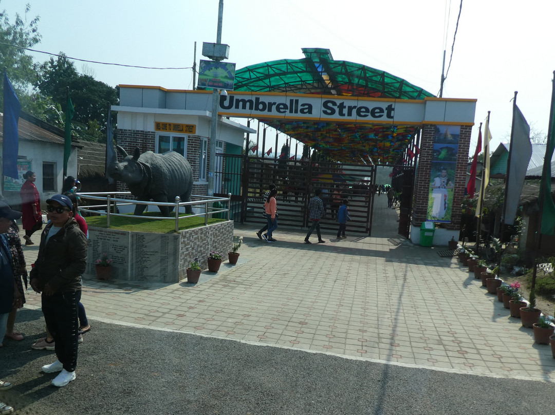 Umbrella Street-奇旺国家公国必去景点