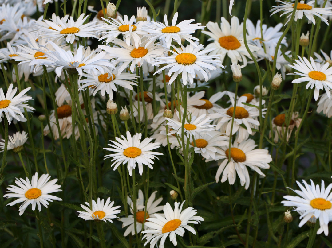 Deschutes River Trail-本德必去景点
