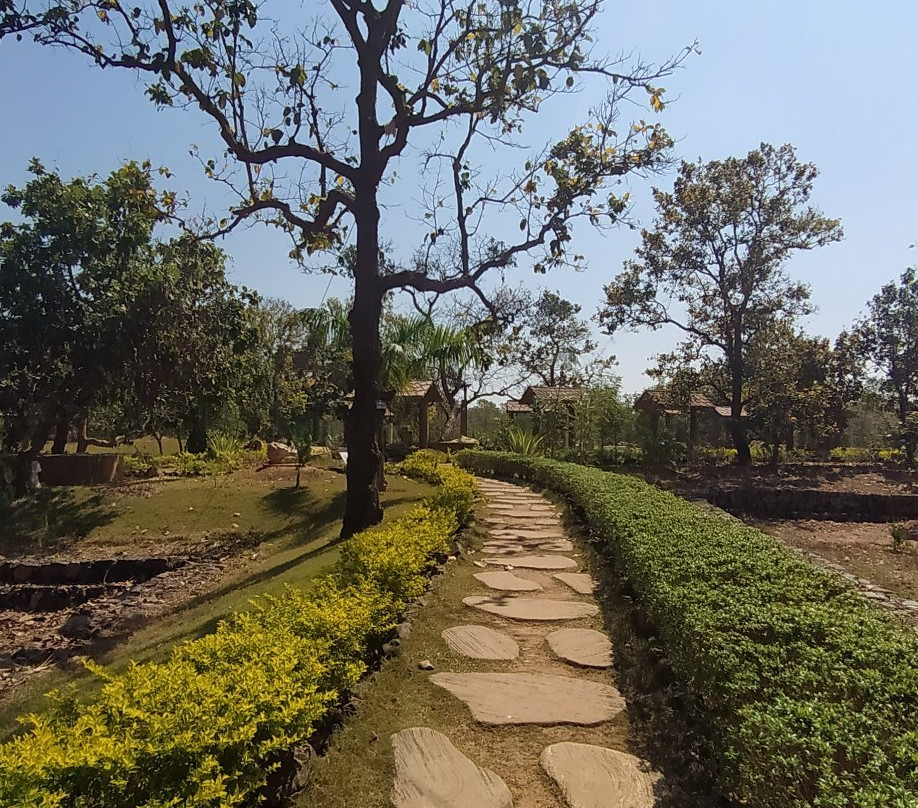 Amkhoi Fossil Wood Park景点图片