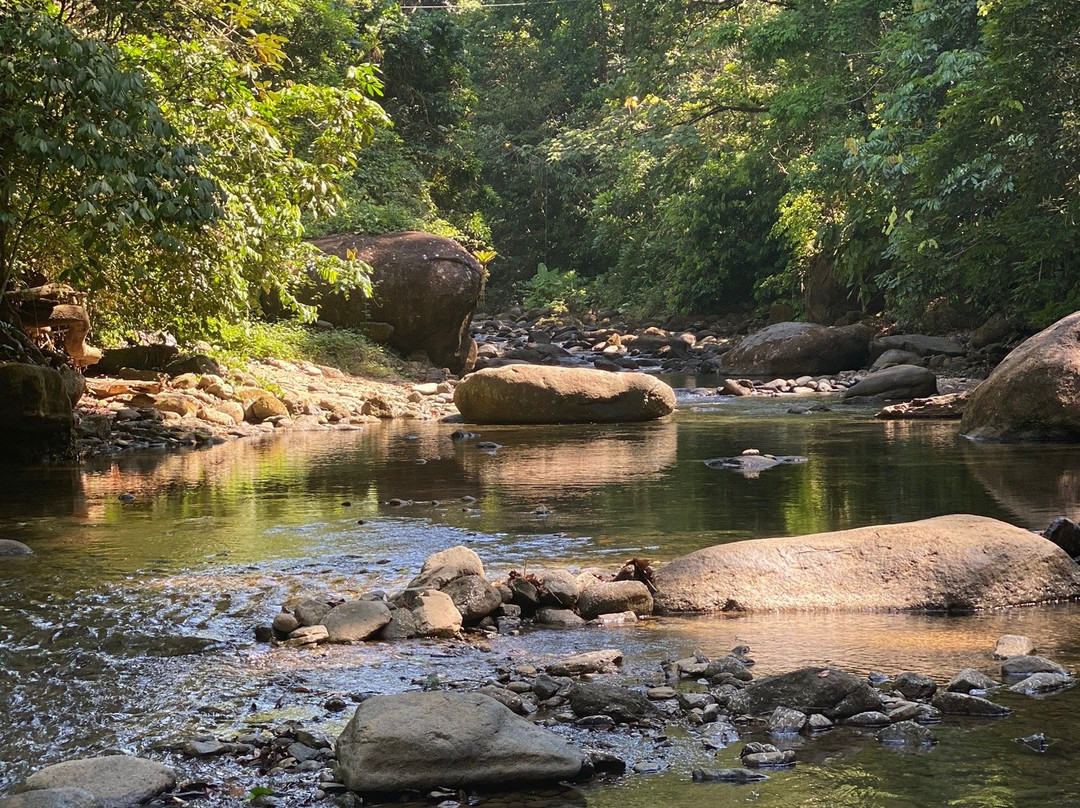La Palapa Eco Lodge Resort主图