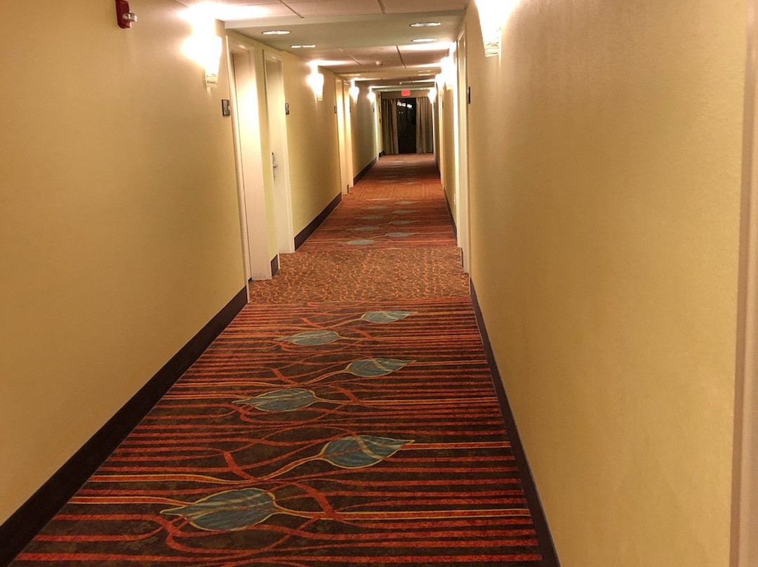 Hampton Inn & Suites Pensacola/Gulf Breeze主图