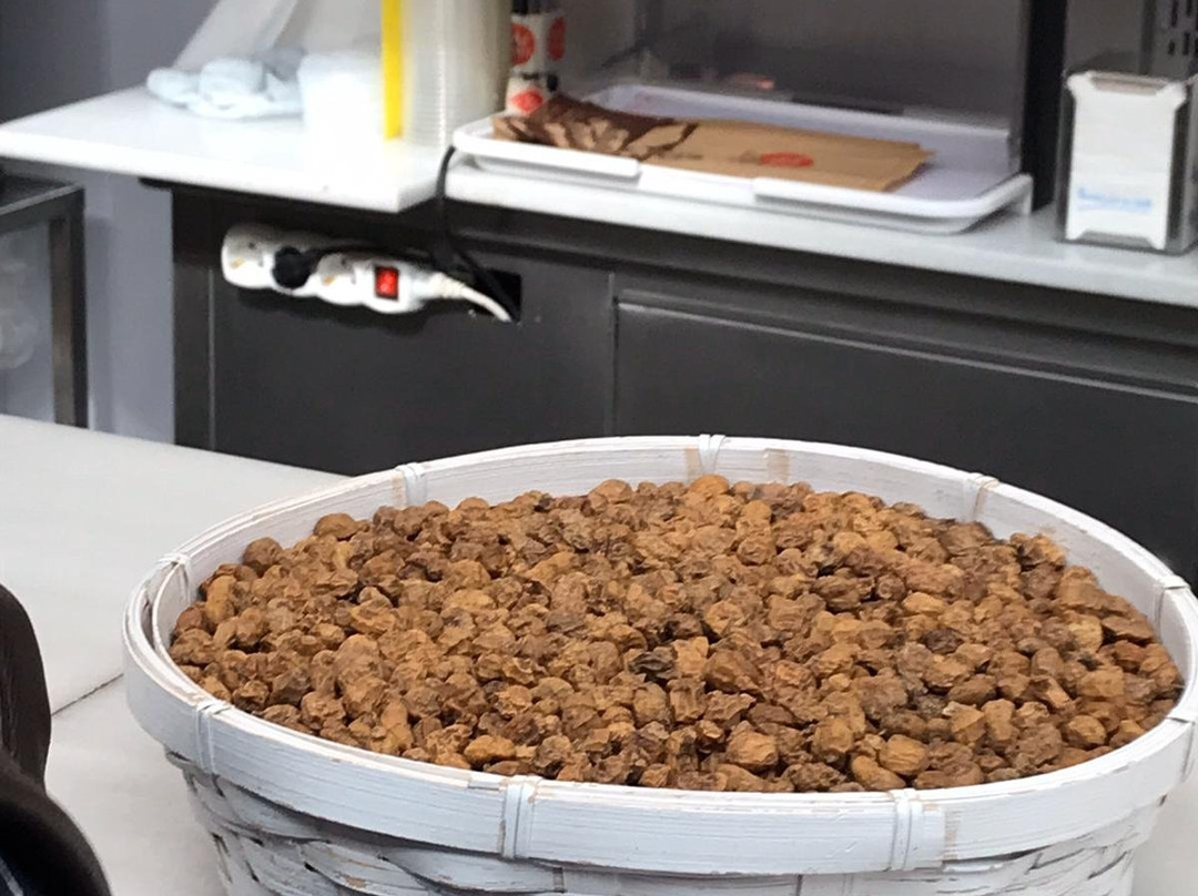 市集广场-巴伦西亚必去景点