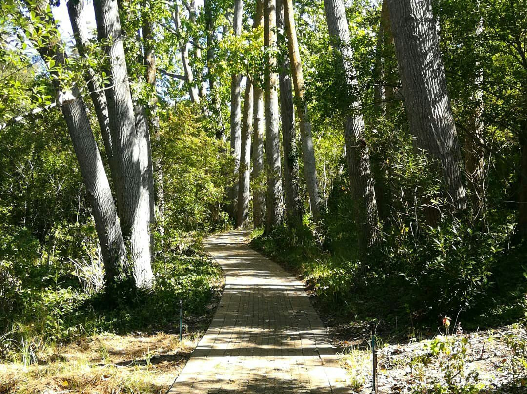 Eagles Nest Wine-康士坦提亚必去景点