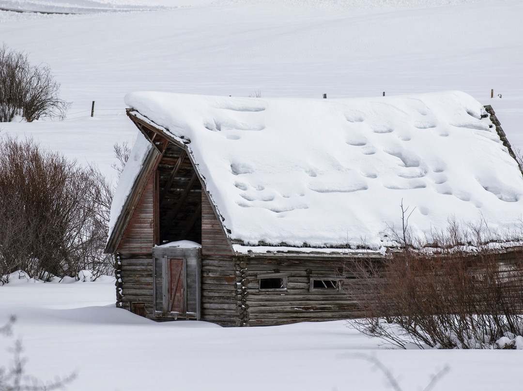 Swan Valley Tours-天鹅谷必去景点