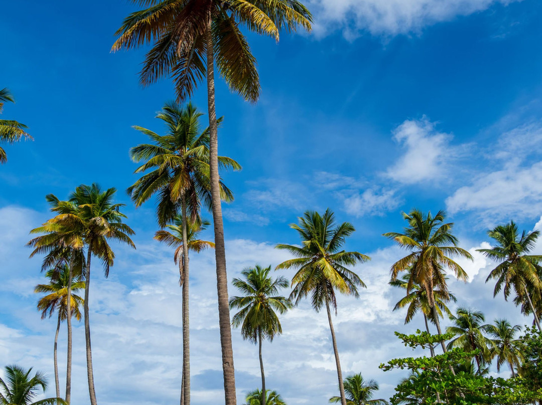 Playa Esmeralda-Miches必去景点