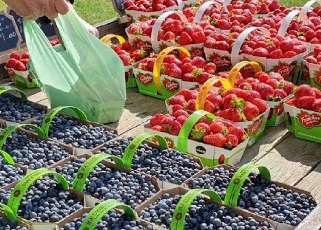 Ferme Francois Gosselin-Saint-Laurent-de-l'Ile-d'Orleans必去景点