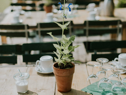 Wenzenbach旅游攻略图片