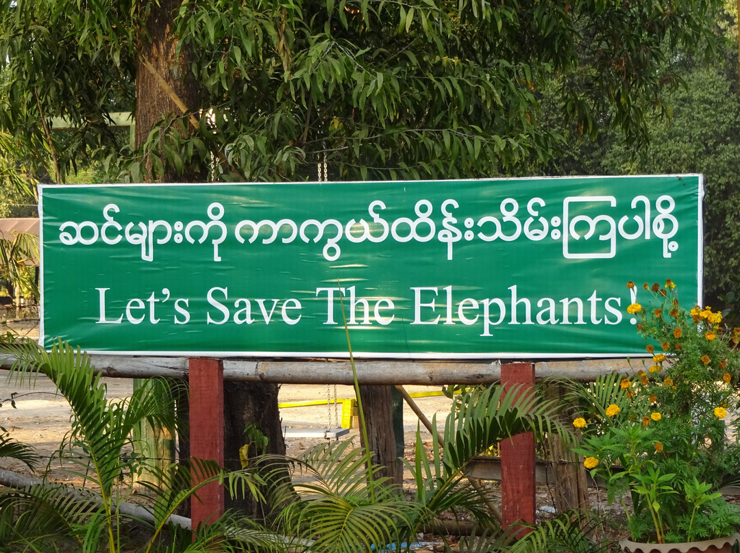 Winga Baw Elephant Camp-勃固必去景点