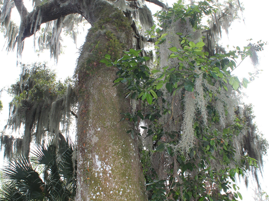 Circle B Bar Reserve-莱克兰必去景点