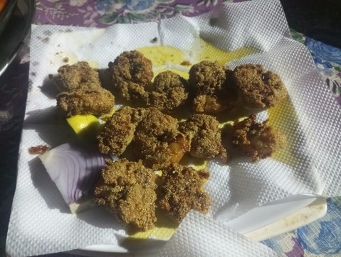 Rajanand Palace主图