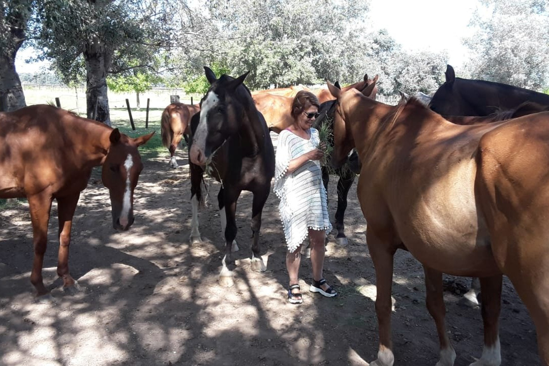 Estancia La Sofia主图