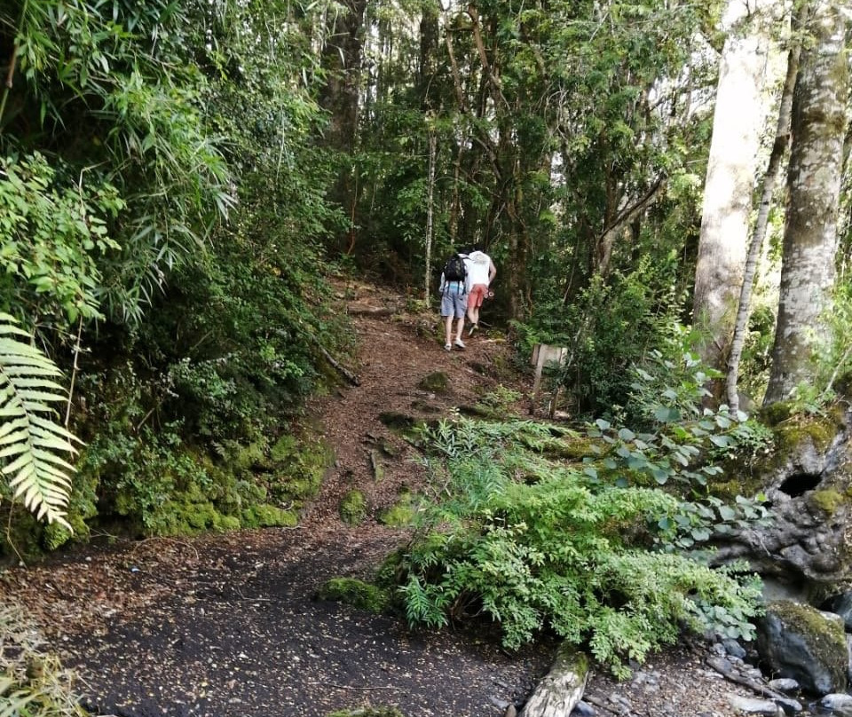 Vortice Park-Curacautin必去景点