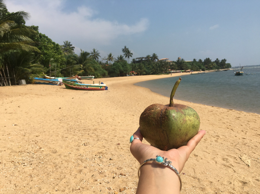 Sky Ferns Tours-加勒必去景点