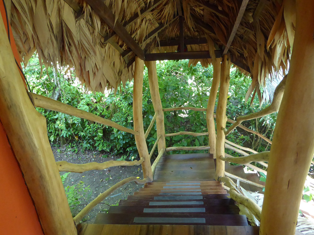 Cariblue Beach & Jungle Resort主图