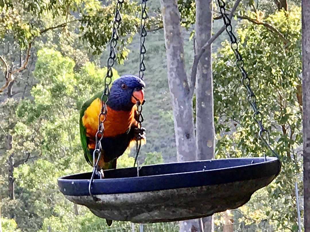 Krambach酒店住宿-BellbirdHill Bed & Breakfast