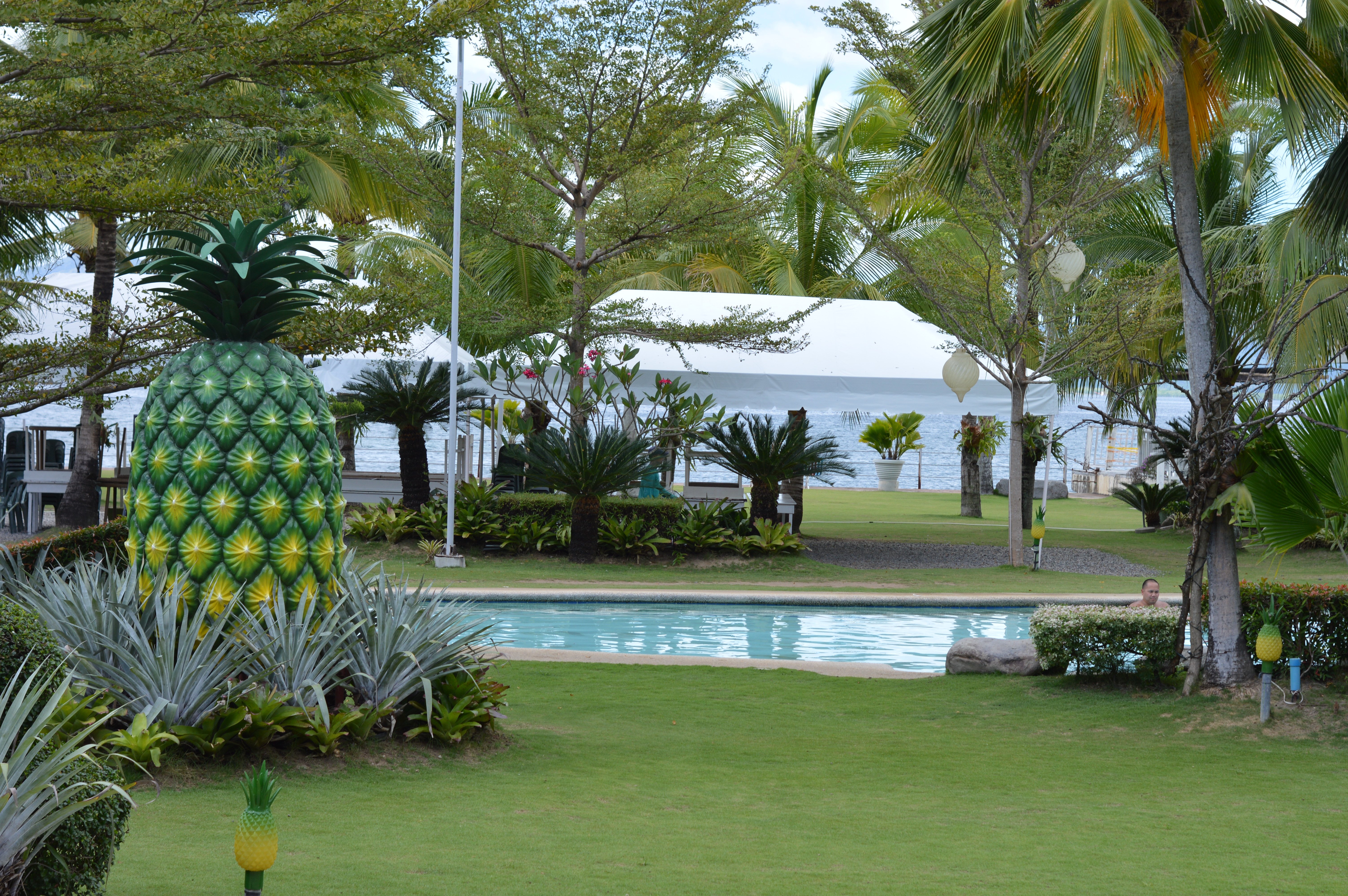 Sabin Resort Hotel-泳池