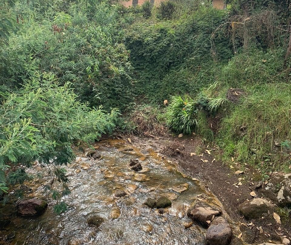 La Rivera Del Ave主图