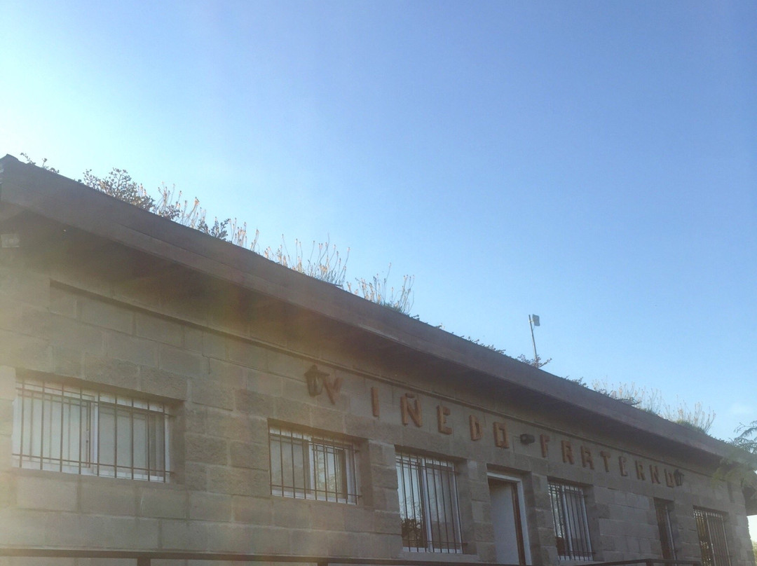 Vinedo Fraterno-梅洛必去景点