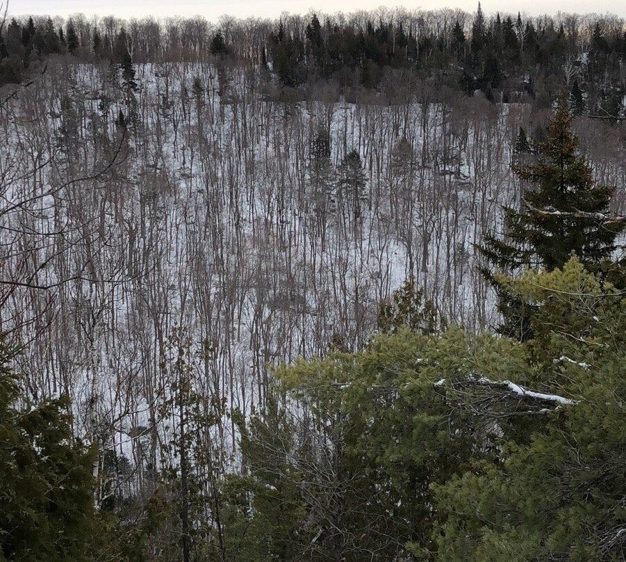 Parc Régional de Val-David Val-Morin-Val Morin必去景点